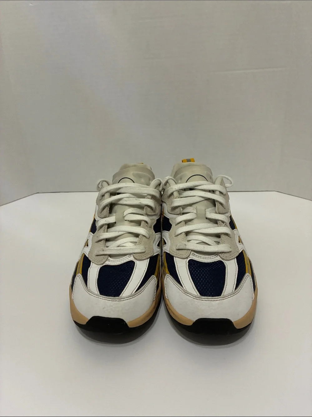 Women’s Nike skater sneakers